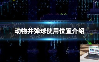 动物井弹球在哪用