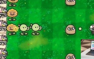 植物大战僵尸幼儿园版是免费的吗