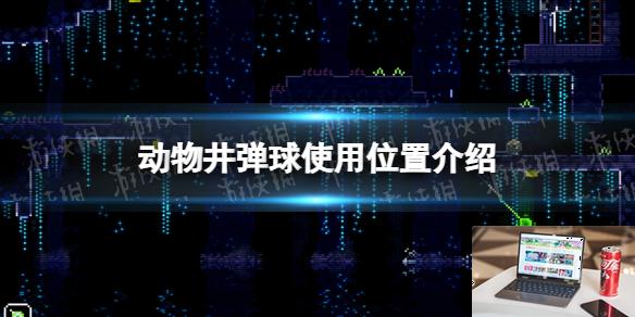 动物井弹球在哪用-第1张图片-游戏攻略日记
